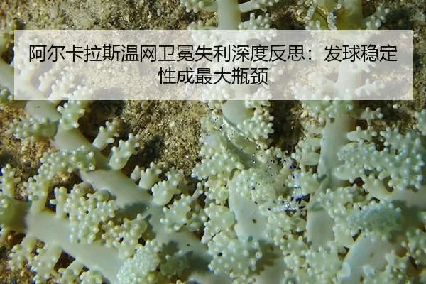 a-er-ka-la-si-wen-wang-wei-mian-shi-li-shen-du-fan-si-fa-qiu-wen-ding-xing-cheng-zui-da-ping-jing-2-794.jpg