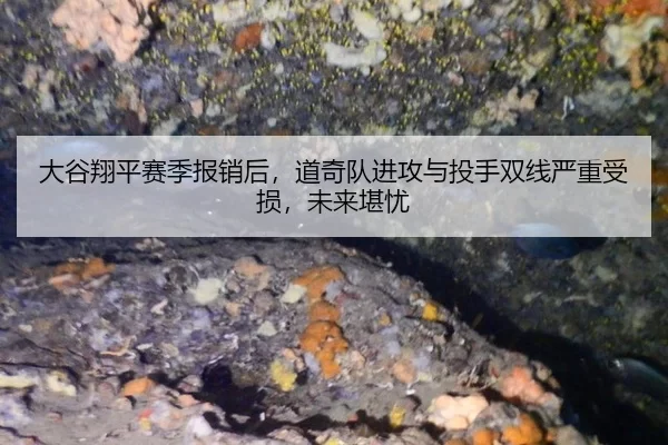 da-gu-xiang-ping-sai-ji-bao-xiao-hou-dao-qi-dui-jin-gong-yu-tou-shou-shuang-xian-yan-zhong-shou-sun-wei-lai-kan-you-2-748.jpg