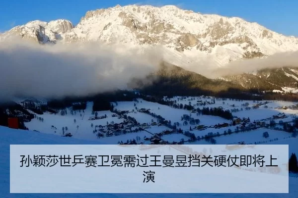 sun-ying-sha-shi-ping-sai-wei-mian-xu-guo-wang-man-yu-dang-guan-ying-zhang-ji-jiang-shang-yan-3-504.jpg